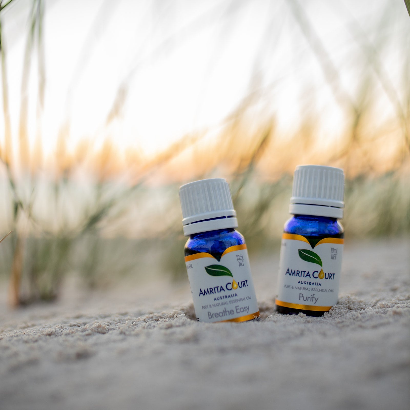 No Germ Duo Bundle | Purify + Breathe Easy Essential Oil Pair for Clean Air & Respiratory Support