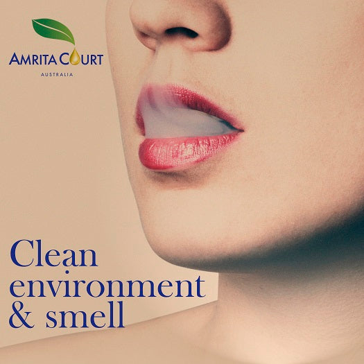 No Germ Duo Bundle | Purify + Breathe Easy Essential Oil Pair for Clean Air & Respiratory Support